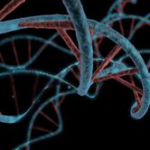 System Biology Approaches To Study Aging | Frontiers Research Topic